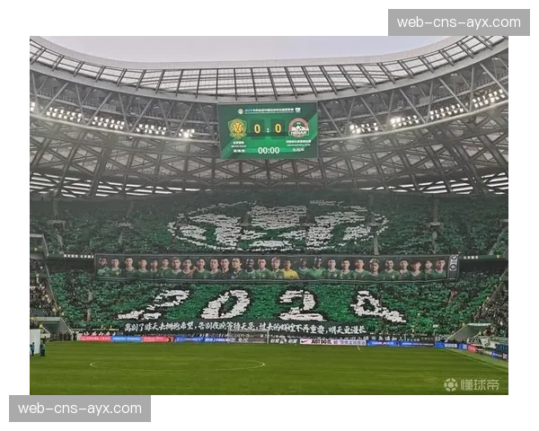 为迎接下半年重要赛事,部分中超主场启动草坪维护工程 为迎接下半年重要赛事,部分中超主场启动草坪维护工程