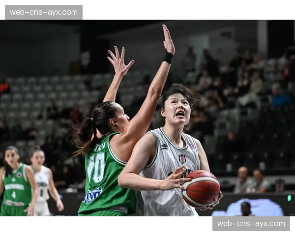 女性体育投资热潮：风险资本如何重塑WNBA球队运营模式